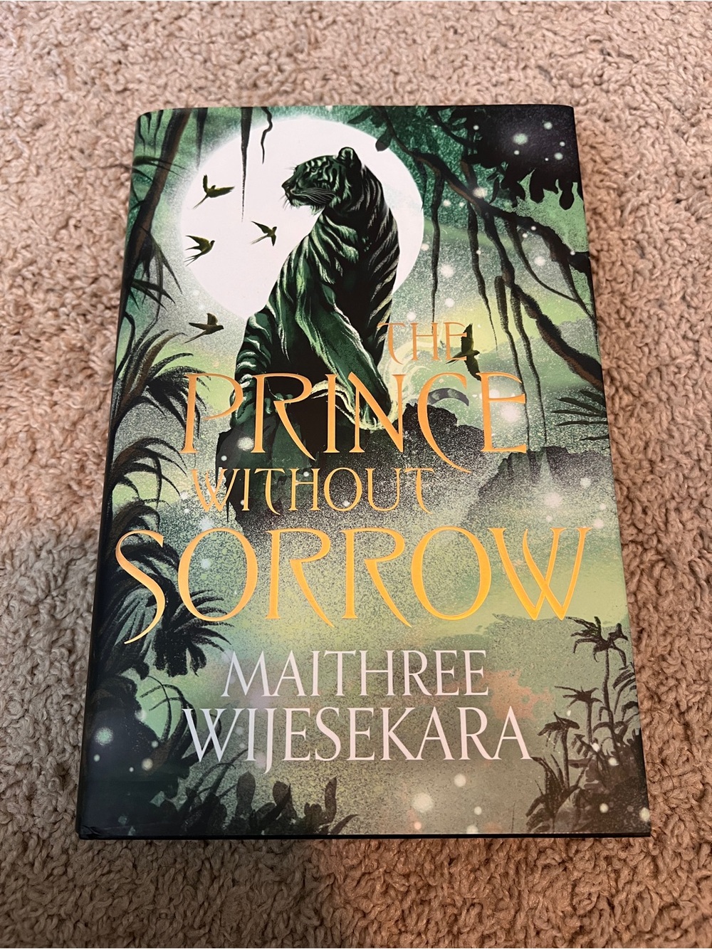 The Prince Without Sorrow by Maithree Wijesekara Illumicrate edition